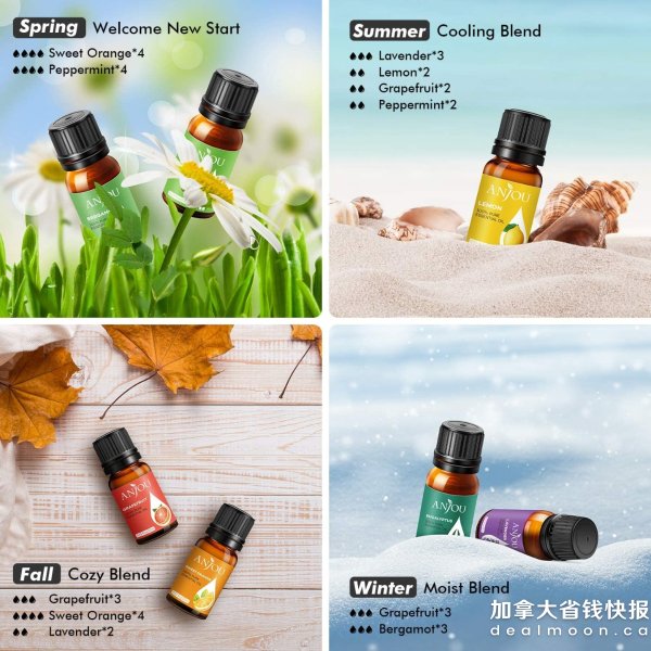 独特体验:探秘上海精油舒体会所实体店